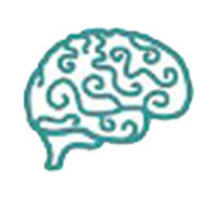 brain.png